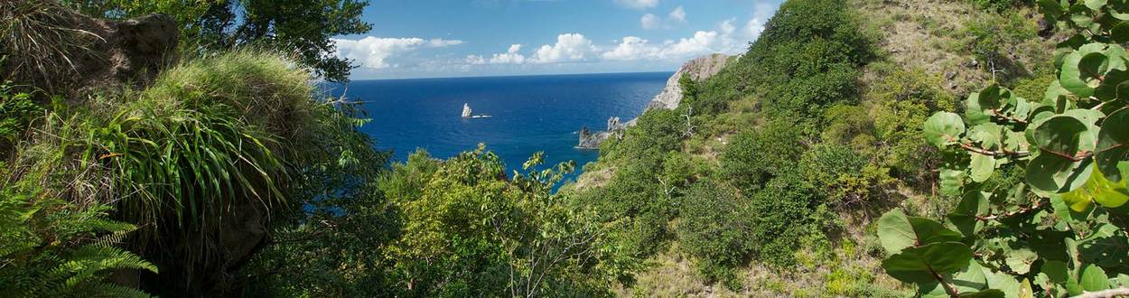 Saba zeezicht vanuit de groene bergen